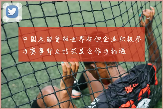 中国未能晋级世界杯但企业积极参与赛事背后的深度合作与机遇